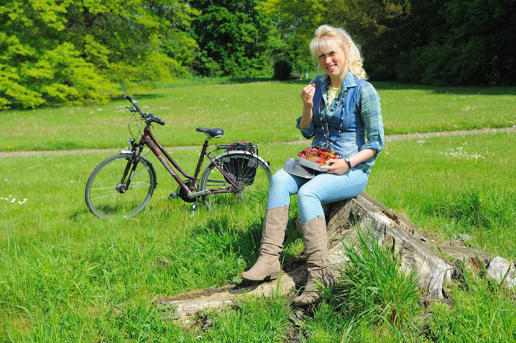 brotdose-metall-lunch-box-vesperdose-unterteilung-essensbox-mit-faechern-fruehstuecksdose-plastikfrei