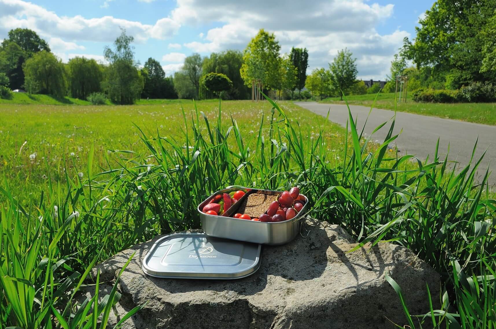 brotdose-ohne-kunststoff-plastikfrei-umweltfreundlich-bpa-frei-vesperdose-vesperbox-fruehstuecksbox