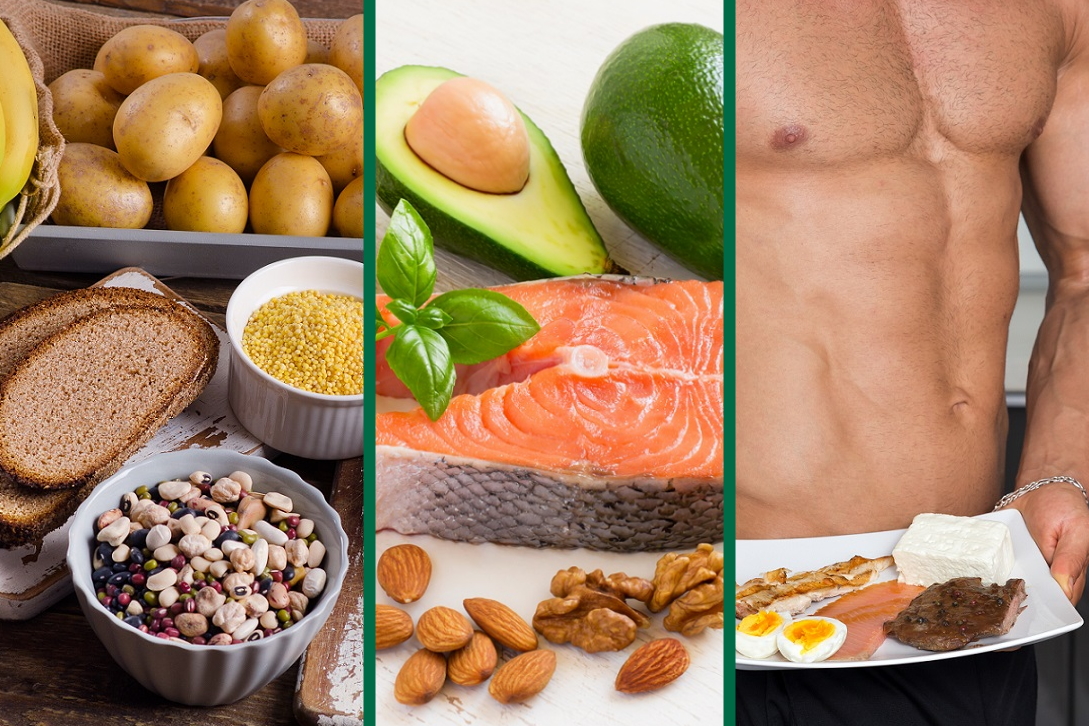 Kohlenhydrate,Fette,Protein auf einen Blick